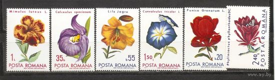 ФФ2 Румыния 1971 Цветы