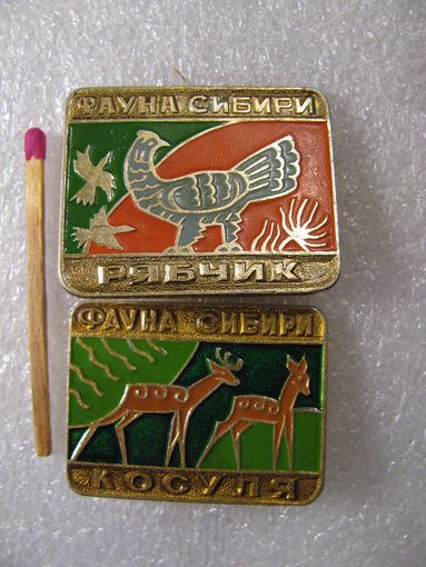 Значок. Фауна Сибири. остался Косуля