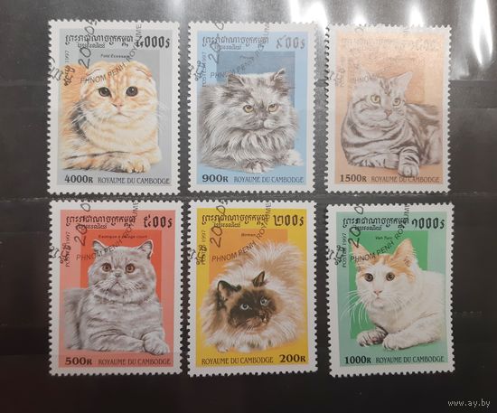 Камбоджа. 1997 год. Фауна. Коты (736)