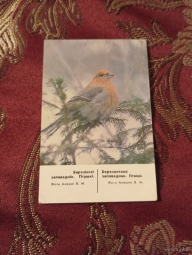 Календарь 1988, Березинский заповедник, Птицы