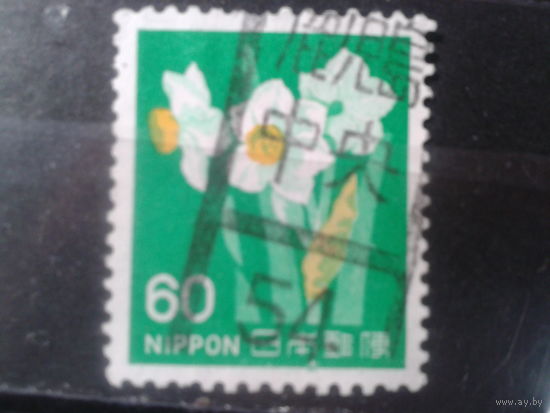 Япония, 1976. Нарциссы