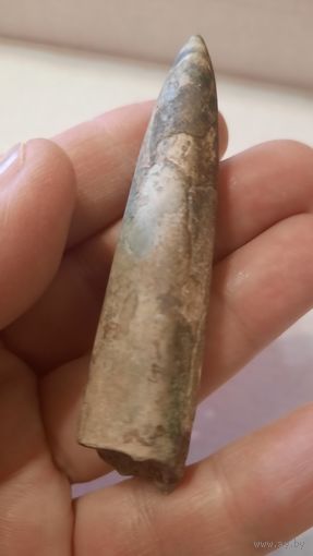 Окаменелость - Ростр Белемнита