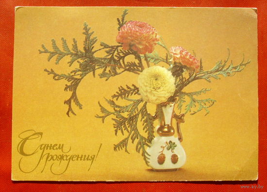 С днём рождения! Чистая. 1982 года. Фото Бабайлова. 1804.