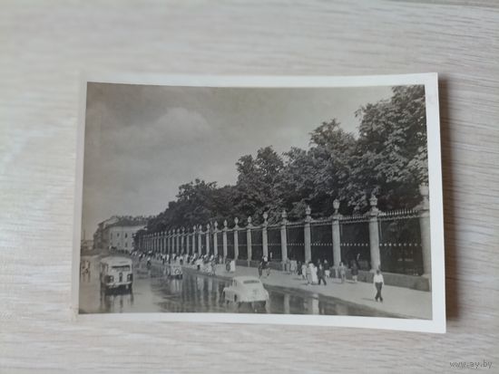 1954 год Ленфотохудожник  Ленинград У Летнего Сада