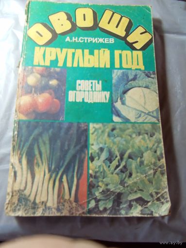 Овощи круглый год