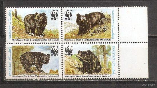 ФФ1 Пакистан 1989 Медведь