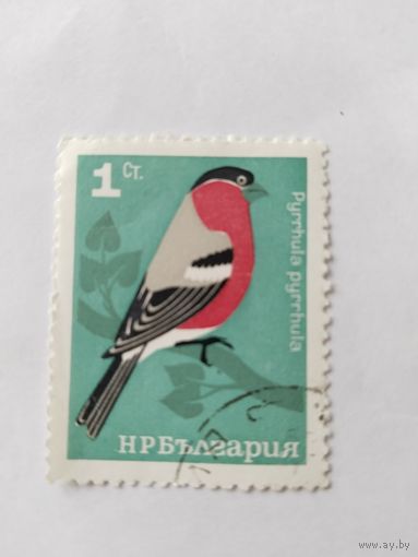 Болгария