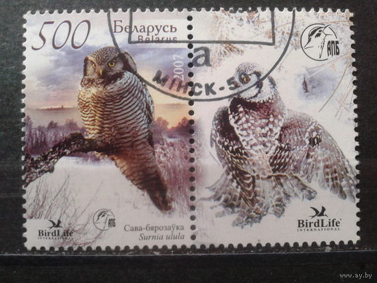 2007 Сова с купоном