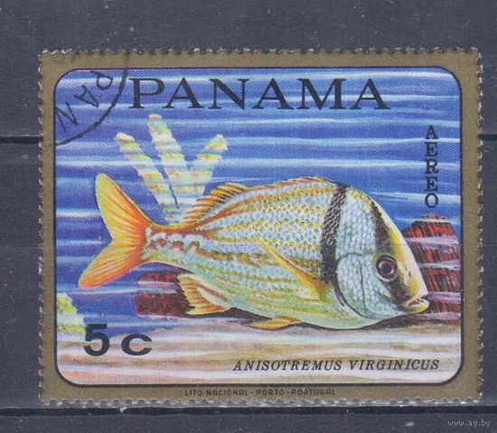 [517] Панама 1968. Фауна.Рыба.5 с. Гашеная марка.