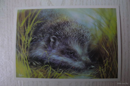 Исаков А., Ежик; 1989, чистая.