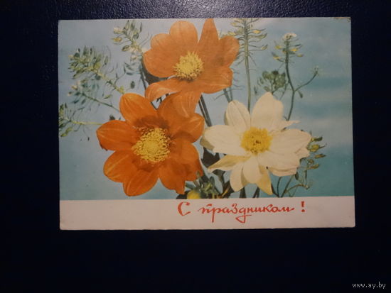 С праздником!  цветы.  1969 г.  подписанная.