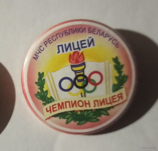 Знак, МЧС, пожарный, лицей