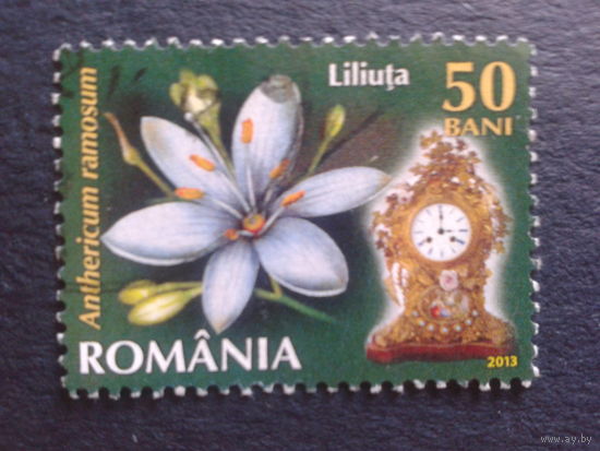 Румыния 2013 часы и цветы