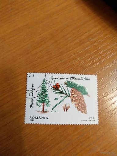 1996 Румыния флора маленький тираж MNH** (2-3)