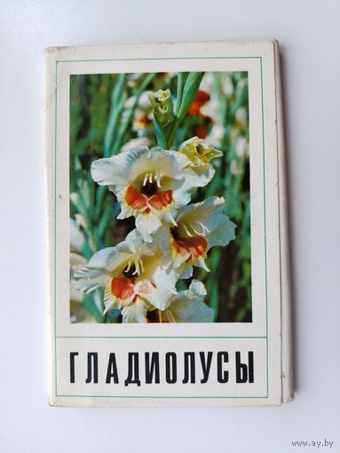 Гладиолусы. Набор открыток 1972 года. ( 15 шт. ) Н-21.