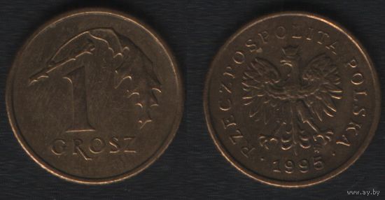 Польша y276 1 грош 1995 год (mw) (_alb2