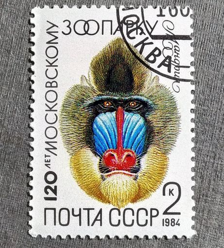 Марка СССР 1984 гол 120 лет Московскому зоопарку