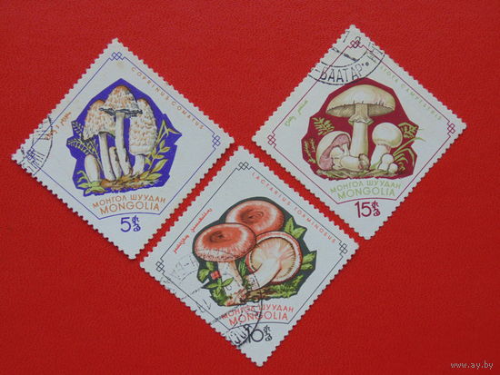 Монголия 1979г. Грибы.