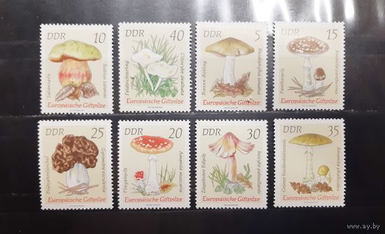 Германия. 1974 год. Флора. Грибы (969)