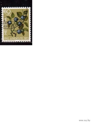 Швейцария-1973 (Мих.1016) ,  гаш. , Флора, Ягоды