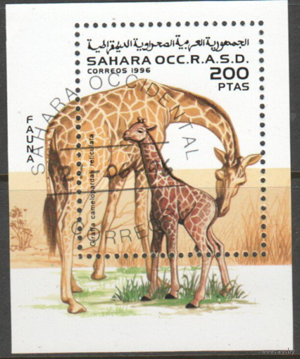 Фауна Животные Жирафы 1996 Сахара Фронт Полисарио