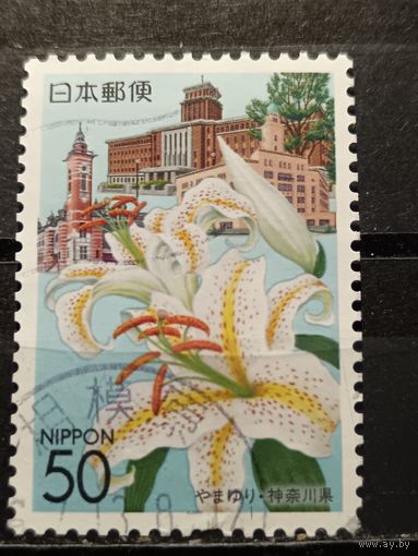 Япония, 2004. Лилии
