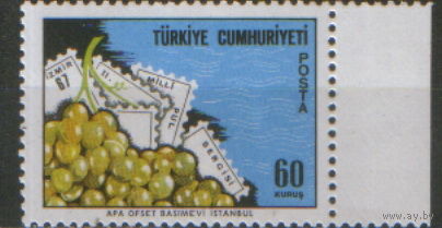 Марка из серии 1967г. Турция "2-ая Национальная выставка марок в Измире" MNH