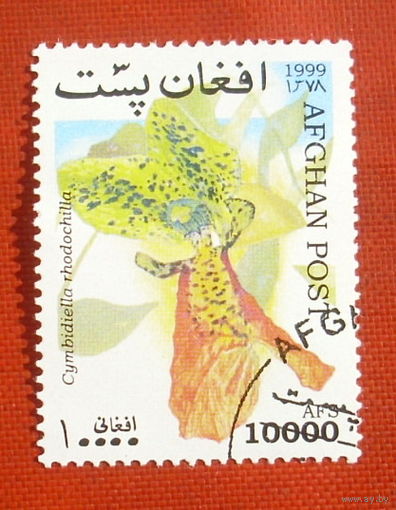 Афганистан. Цветы. ( 1 марка ) 1999 года. 5-14.