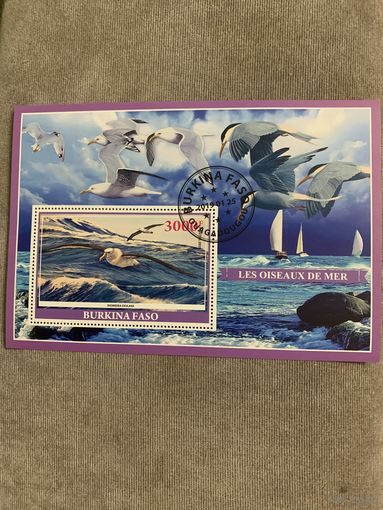 Буркина Фасо 2019. Птицы. Diomedia exulans. Блок