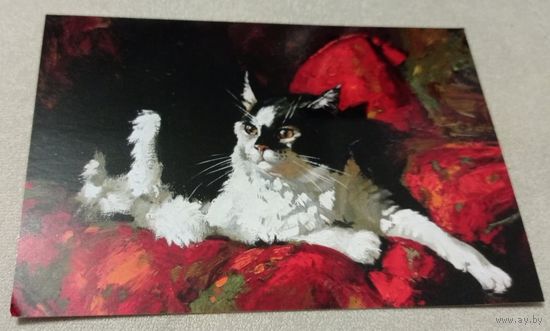 Посткроссинг. Открытка: кот и подушка, худ.М.Павлова (11,5х16,5), издательство "Речь". Прошла почту. Художественная марка. штемпель.