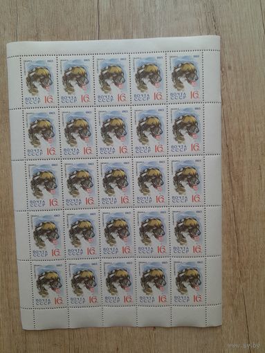 Лист 1965 г. Кавказская овчарка. 16 к.