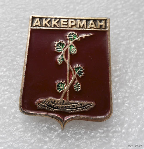 Значок. Аккерман #0883