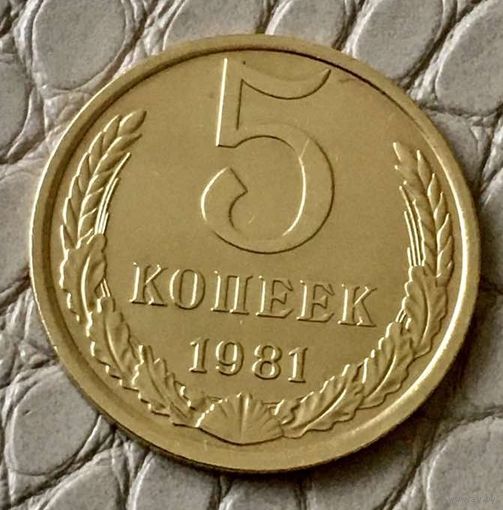 5 копеек 1981 года.