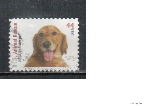 США-2010 (Мих.4613) , гаш., Фауна, Собаки