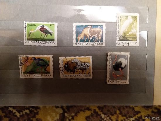 1968 СССР Загорский 3595-3600 фауна гашеная полная серия MNH** (c-11)
