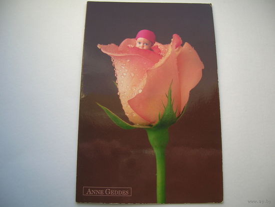 Дети Роза Анна Геддес Арт Дизайн 2006 год двойная подписана