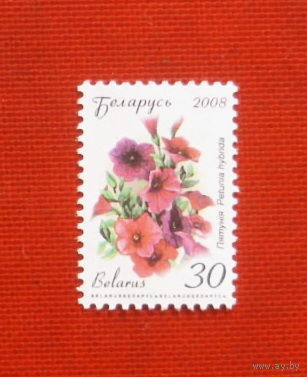 Беларусь. Стандарт. ( 1 марка ) 2008 года. 10-8.