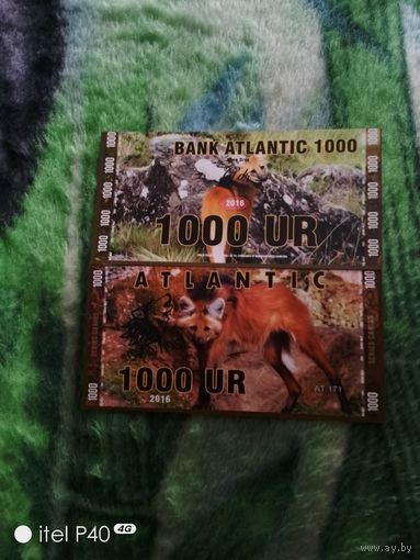 Банк Атлантик 1000