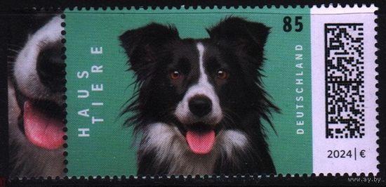 2024 Германия фауна животные млекопитающие породы собак HAUS TIERE Mi-3837 1х-марка**