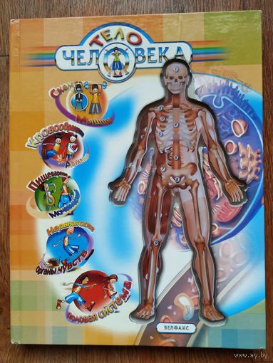 Детская энциклопедия Тело человека