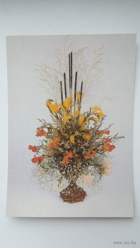 Открытка. Фото. Ткаченко. Цветы. С днем рождения! 1989. Чистая.