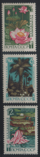 Заг. 3289/91. 1966. Сухумский ботанический сад. Флора. чиСт.