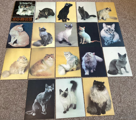 Набор открыток "Кошки" 17 шт.