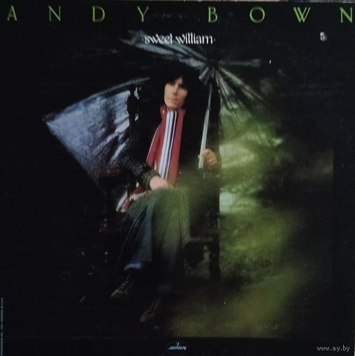 Andy Bown /Ex-Status Quo/1973, Mercury, LP, EX, USA