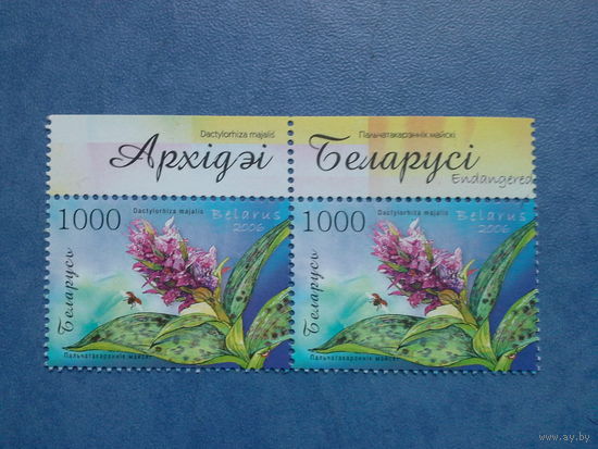 Беларусь 2006. Орхидея, пара. Надпись на верхнем поле.