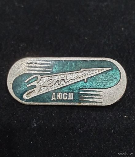 ДЮСШ Зенит т.м