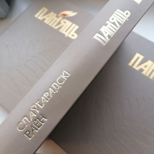 Книга Память Славгородский р-н