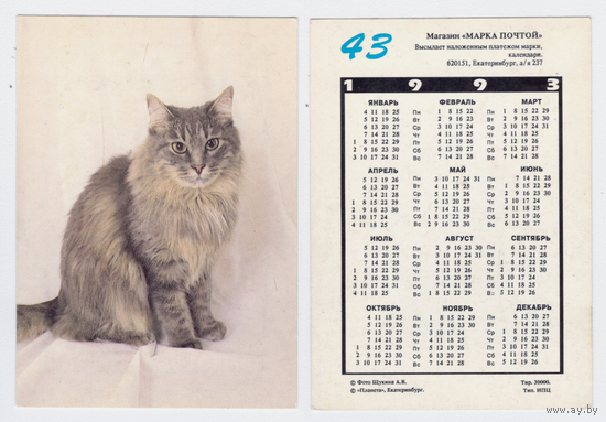 Календарь кошка N43 1993