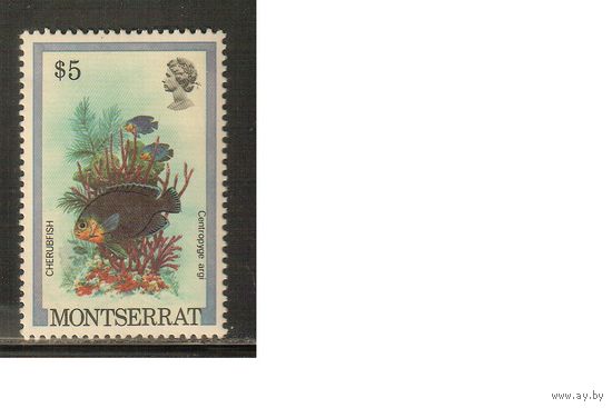 Монтсеррат-1981(Мих.458 I) , **    , Морская Фауна , Рыбы