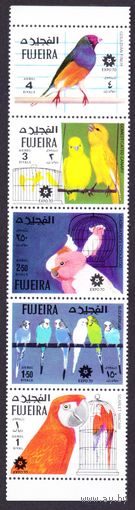 1970 Фуджейра 1475-1479 полоса Птицы, EXPO70 8,50 евро